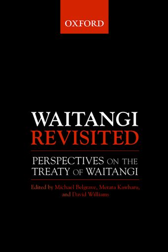 Waitangi Revisited book cover