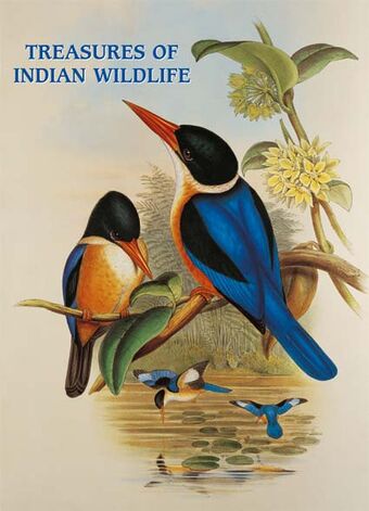 Treasures of Indian Wildlife book cover