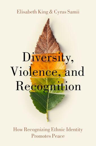 Diversity Violence and Recognition book cover