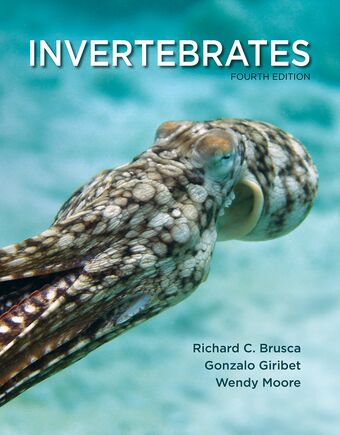 Invertebrates book cover