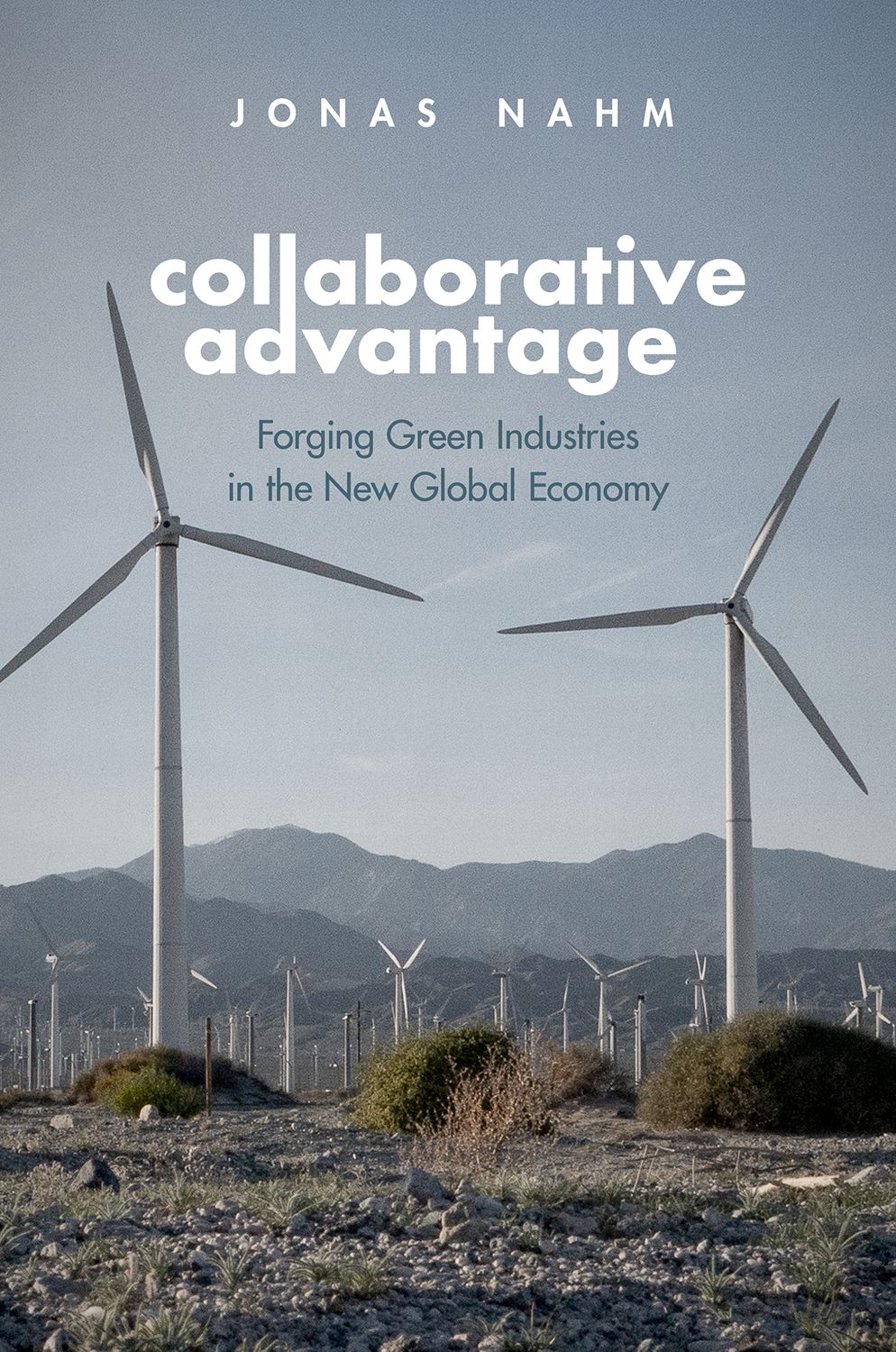 Collaborative Advantage Forging Green Industries in the New Global Economy book cover