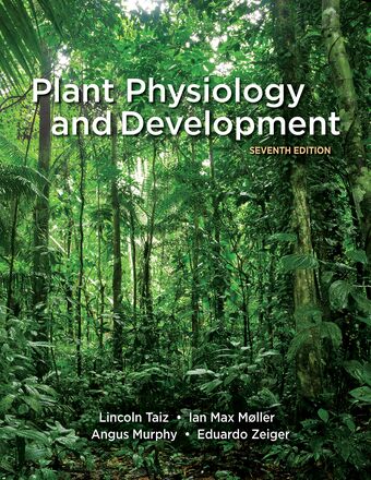 Plant Physiology and Development book cover