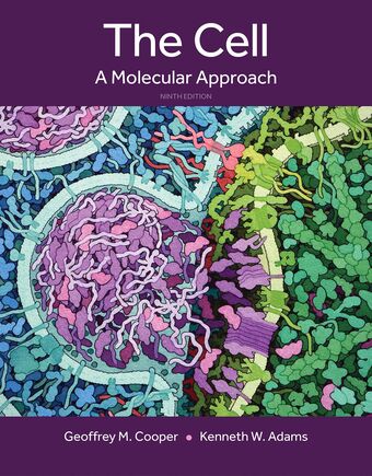 The Cell: A Molecular Approach book cover