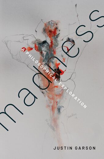 Madness A Philosophical Exploration book cover