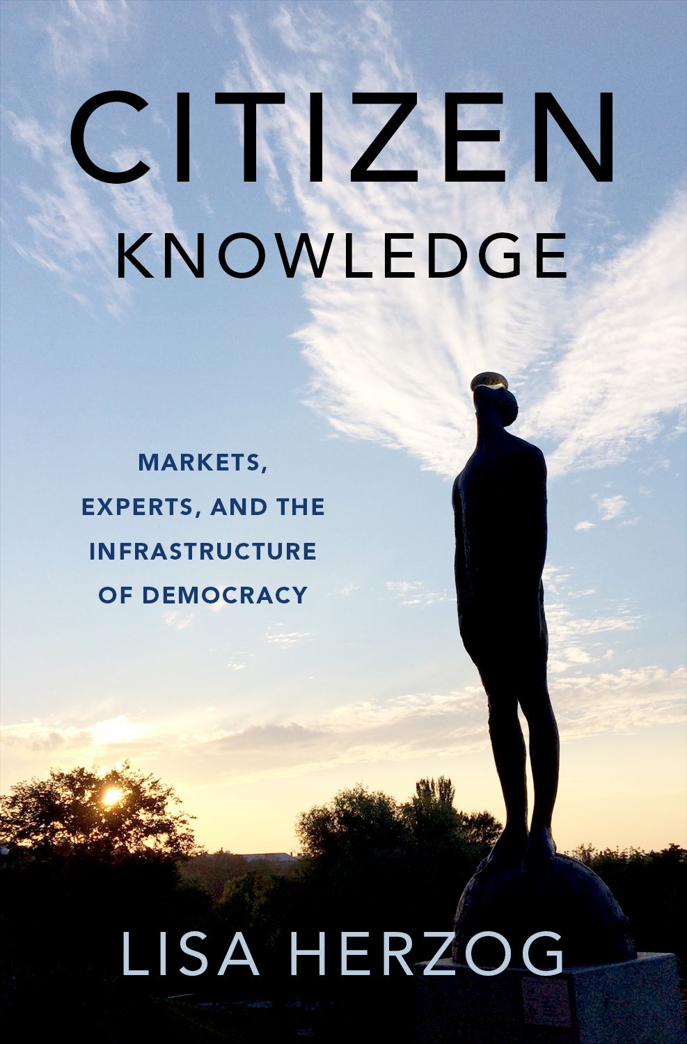 Citizen Knowledge Markets, Experts, and the Infrastructure of Democracy book cover
