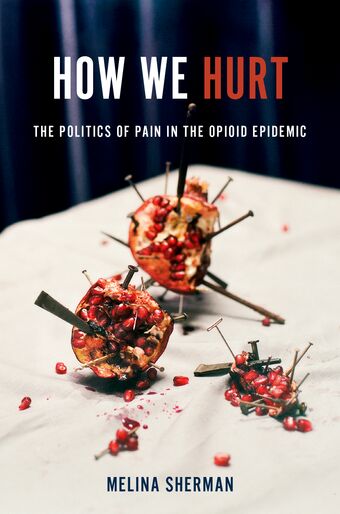 How We Hurt The Politics of Pain in the Opioid Epidemic book cover