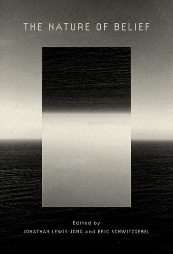 The Nature of Belief book cover