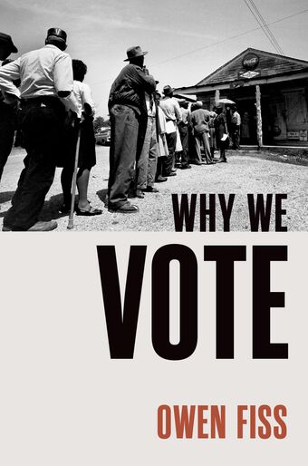 Why We Vote book cover