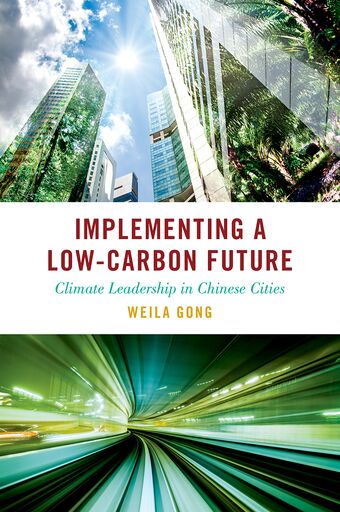 Implementing A Low Carbon Future book cover