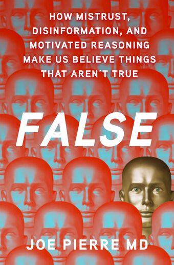 FALSE book cover