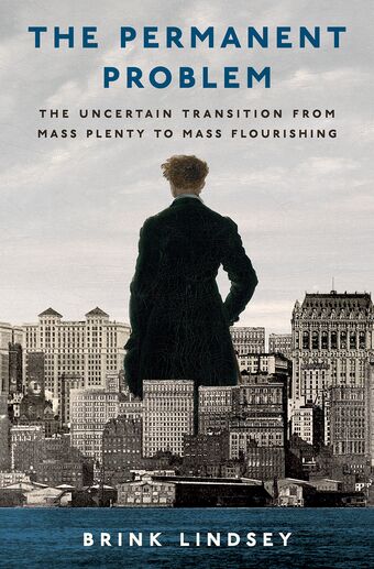The Permanent Problem book cover
