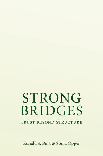 Strong Bridges Trust Beyond Structure book cover