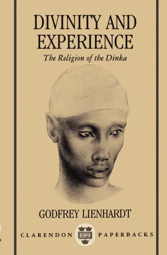 Divinity and Experience book cover
