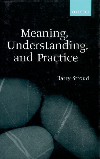 Meaning, Understanding, and Practice book cover