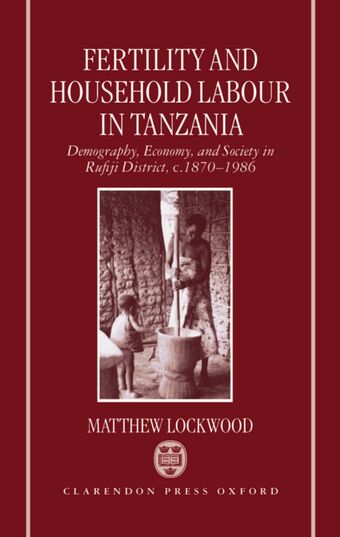 Fertility and Household Labour in Tanzania book cover