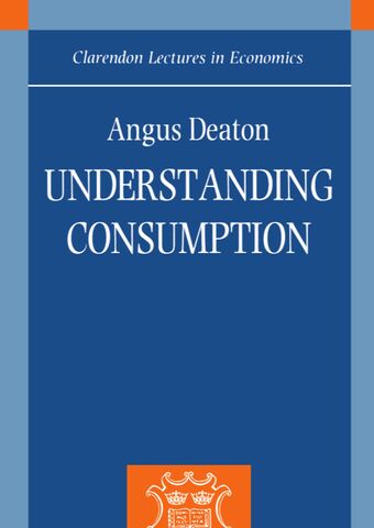 Understanding Consumption book cover