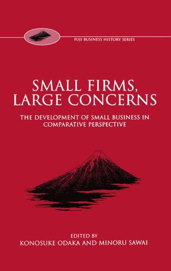 Small Firms, Large Concerns book cover