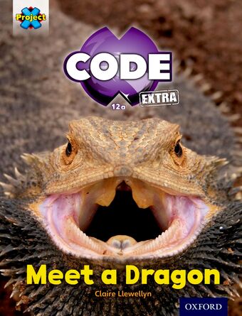 Project X CODE Extra: Light Blue Book Band, Oxford Level 4 Dragon Quest book cover