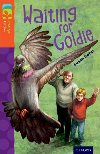 TreeTops Fiction Level 13 Waiting for Goldie book cover