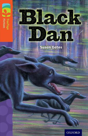 TreeTops Fiction Level 13A Black Dan book cover