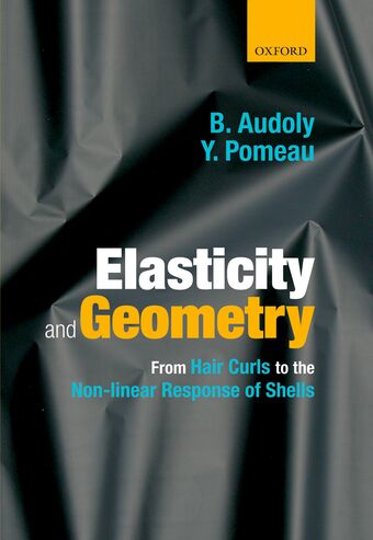 Elasticity and Geometry book cover