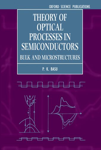 Theory of Optical Processes in Semiconductors book cover