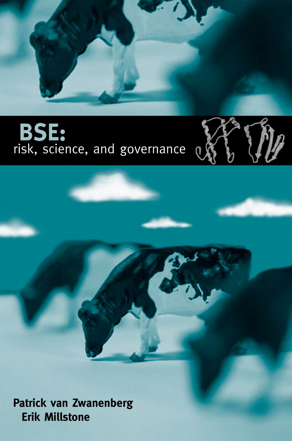 BSE: Risk, Science and Governance book cover