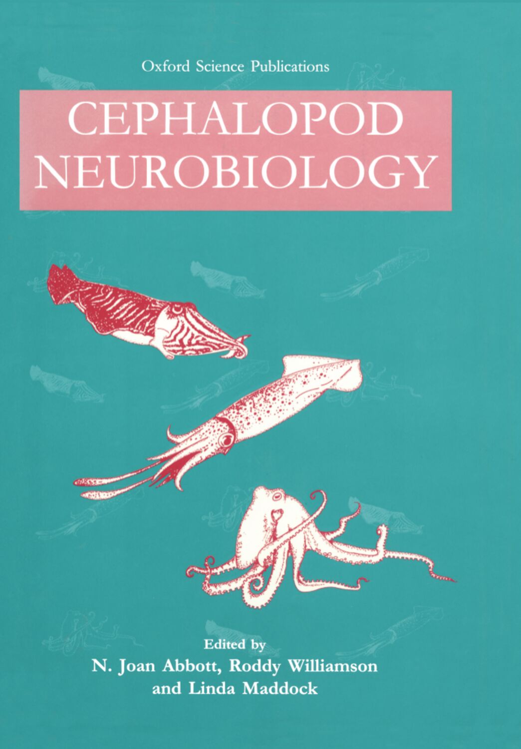 Cephalopod Neurobiology book cover
