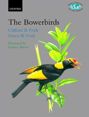 The Bowerbirds book cover