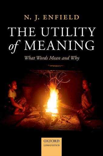 The Utility of Meaning book cover