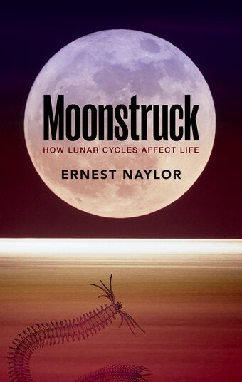 Moonstruck book cover