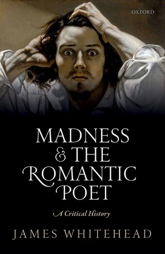 Madness and the Romantic Poet book cover