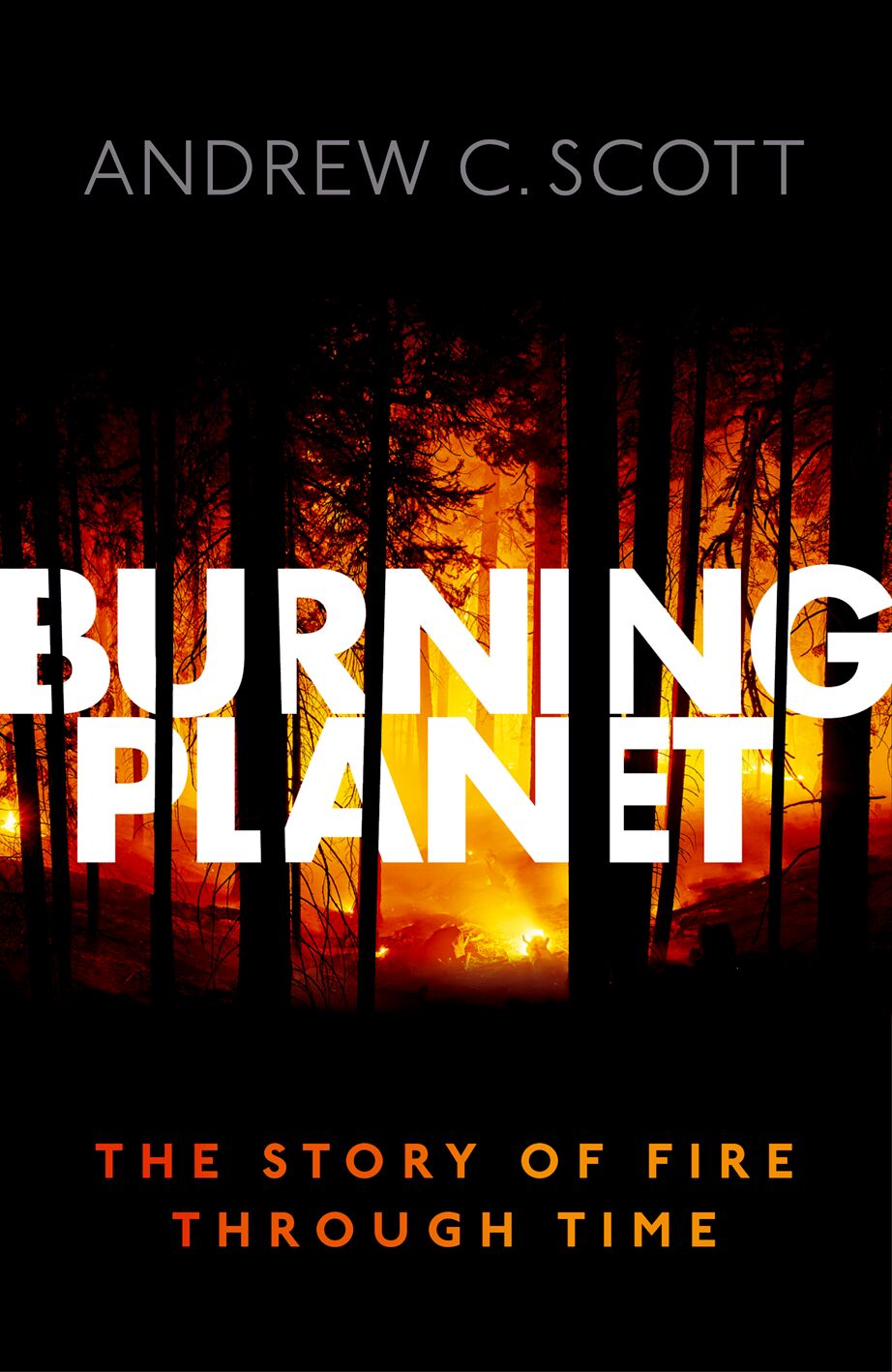 Burning Planet book cover