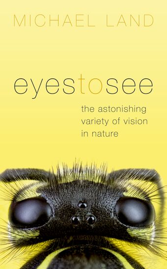 Eyes to See book cover