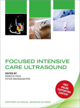 Focused Intensive Care book cover