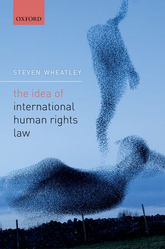 The Idea of International Human Rights Law book cover