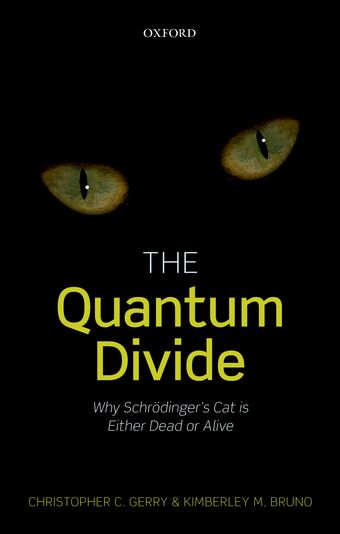 The Quantum Divide book cover