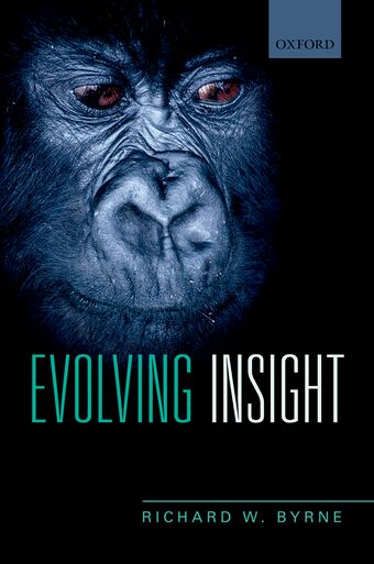 Evolving Insight book cover