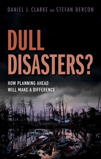 Dull Disasters? book cover