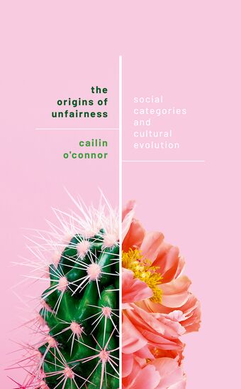 The Origins of Unfairness book cover