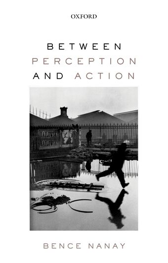 Between Perception and Action book cover