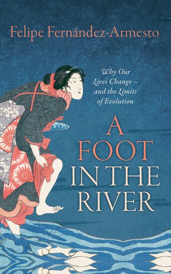 A Foot in the River book cover