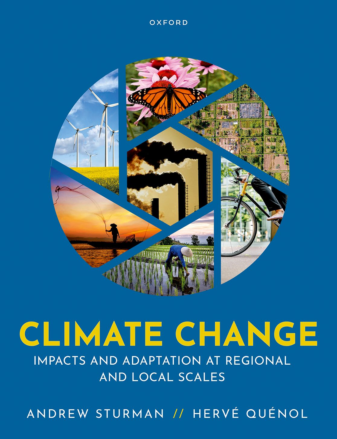 Climate Change Impacts and Adaptation at Regional and Local Scales book cover