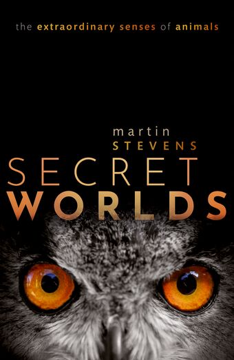 Secret Worlds The extraordinary senses of animals book cover