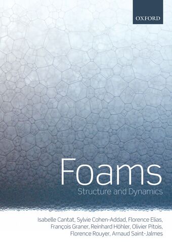 Foams Structure and Dynamics book cover