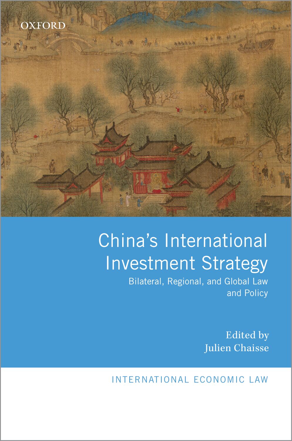 China's International Investment Strategy book cover