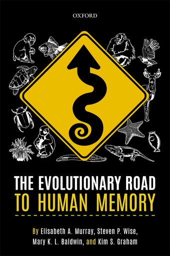 The Evolutionary Road to Human Memory book cover