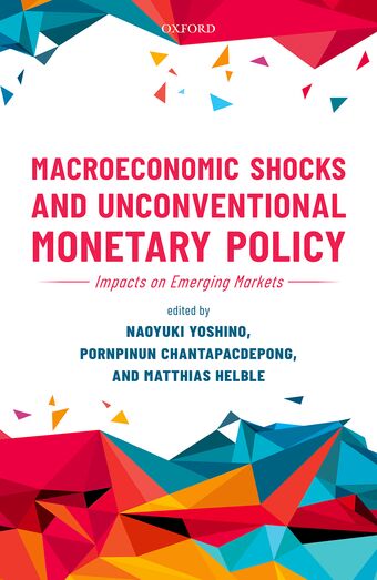 Macroeconomic Shocks and Unconventional Monetary Policy book cover