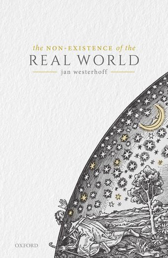The Non-Existence of the Real World book cover