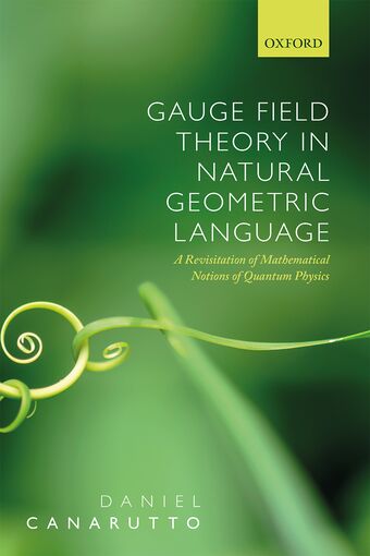 Gauge Field Theory Without Groups book cover
